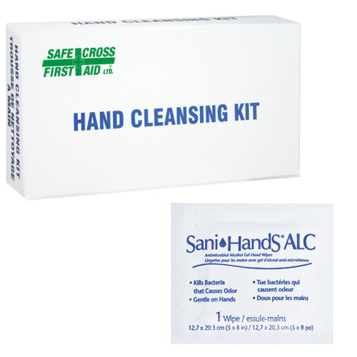 Sani-Hands, Alcohol Gel Hand Towelettes, 12/Box