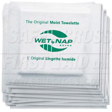 Hand Cleansing Moist Towelettes, 1,000/Case