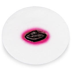 Wound - Anthrax, Oblong-Shaped